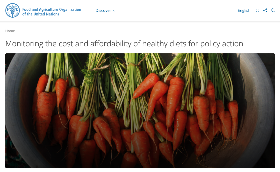 FAO Cost and Affordability of a Healthy Diet project screenshot